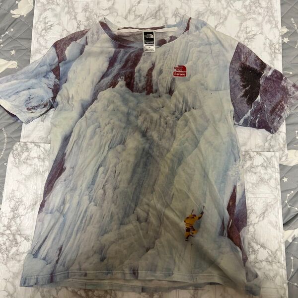 THE NORTH FACE x Supreme Tシャツ S/P Tシャツ 半袖 プリント 古着 シュプリーム ノースフェイス