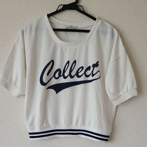 archives 半袖 スウェット トレーナー