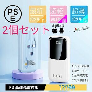 2個セット空調ベスト 薄型モバイルバッテリー アウトドア 急速充電 PSE認証22.5W pd ホワイト ブルー