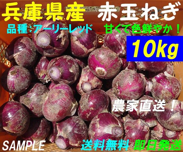 【兵庫県産】赤玉ねぎ 10kg 農家直送 新玉ねぎ 新鮮 朝採り 名産 ブランド