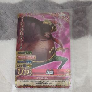 ワンピーベリーマッチダブル ティーチGR