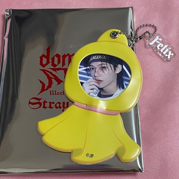 stray kids スキズ domin ATE ミニうちわキーホルダー ポガリ フィリックス スタジアム
