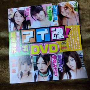 ヤングアニマル 2010年 NO.9 付録 DVD 未開封 篠崎愛 杉原杏璃 手島優