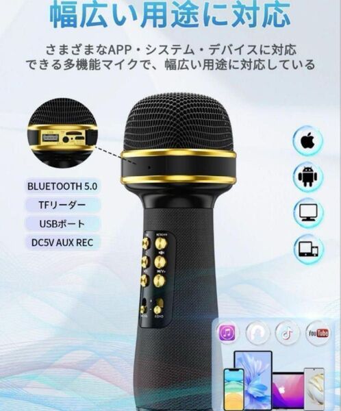 DAILYLIVE Bluetoothマイク 1500mAh ワイヤレスマイク 家庭用カラオケ