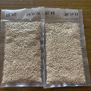 ハリソン スーパーファイン