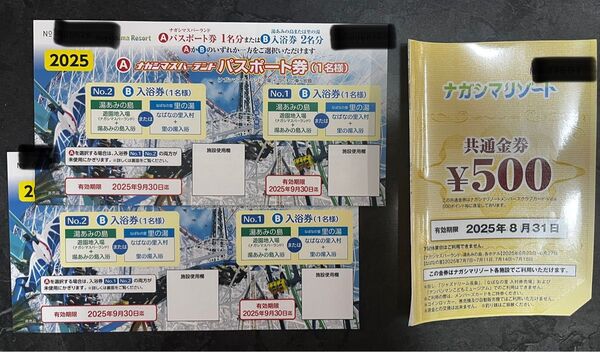 ナガシマスパーランド パスポート引換券 共通金券付き