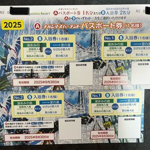 ナガシマスパーランド パスポート引換券 2枚