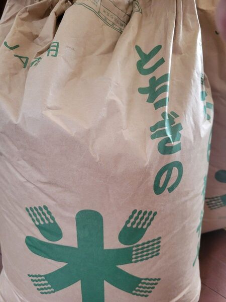 栃木県産コシヒカリ 令和6年産 5月21日精米済み30キロ
