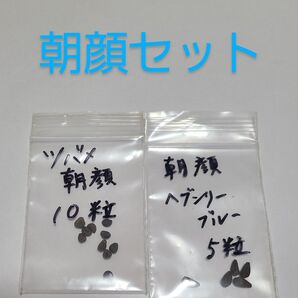 朝顔 種 セット その① ツバメ朝顔 10粒 朝顔ヘブンリーブルー 5粒 種苗会社大手 サカタのタネ 安心