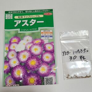 アスター パープル 種 その③ 30 粒 種苗会社大手 サカタのタネ 安心 おまとめ歓迎