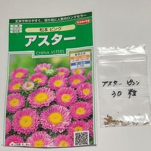 アスター ピンク 種 その④ 30 粒 種苗会社大手 サカタのタネ 安心 おまとめ歓迎
