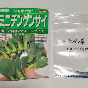 ミニチンゲン菜 種 その⑥ 1g いくかいかないか位 種苗会社大手 サカタのタネ 安心 おまとめ歓迎