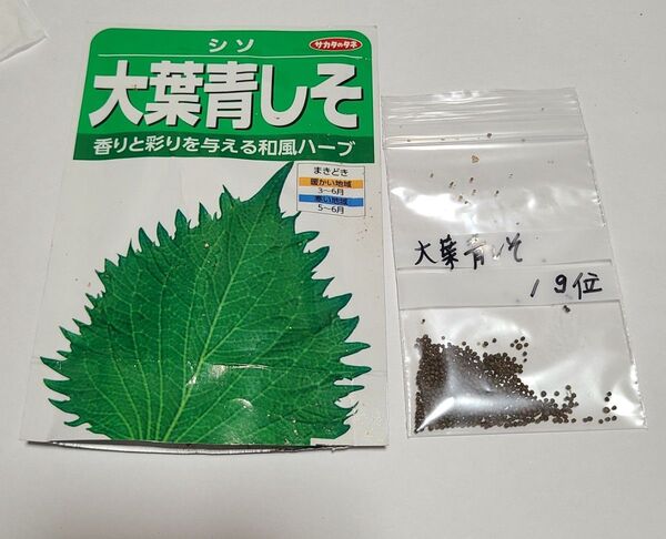 大葉 しそ 種 その④ 約1g 種苗会社大手 サカタのタネ 安心 おまとめ歓迎 水耕栽培にも
