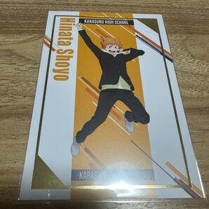 ハイキュー ポストカード 日向