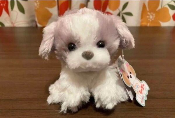 【くったりシーズー】ぬいぐるみキーホルダー ぽこ