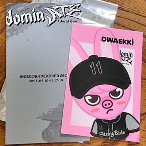 straykids skzoo ICカードステッカー トゥエッキ