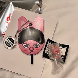 Stray kids ランダムミニ団扇キーホルダー チャンビン めじるしアクセサリー トゥエッキ