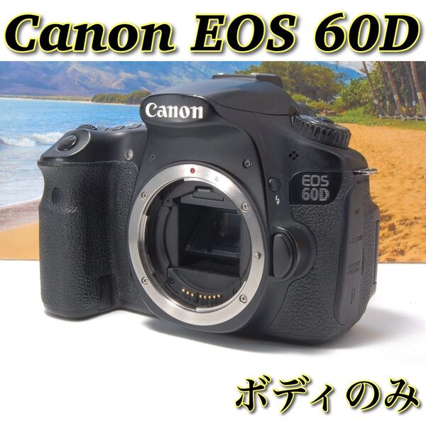Canon EOS 60D ボディのみ 動作確認済み 初心者〜中級者におすすめ