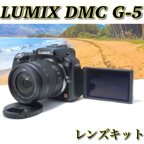 LUMIX DMC-G5 レンズキット 高画質ミラーレス 初心者向け タッチ操作