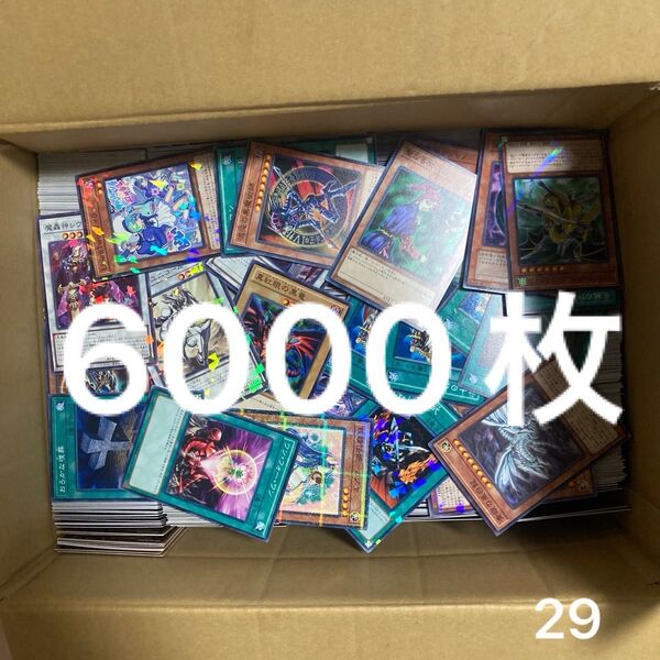 遊戯王 6000枚