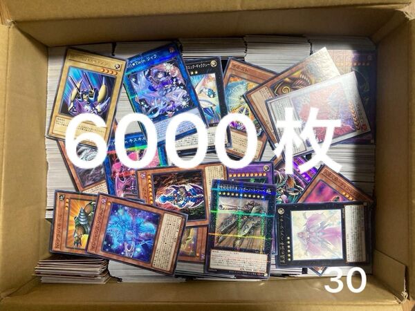 遊戯王 6000枚 遊戯王
