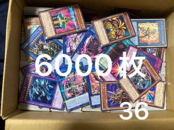 遊戯王 6000枚