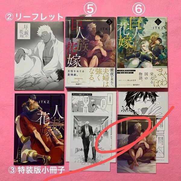 巨人族の花嫁 5巻6巻 ITKZ2冊セット (特典オマケ、2巻アニメイト特典、3巻特装版小冊子)