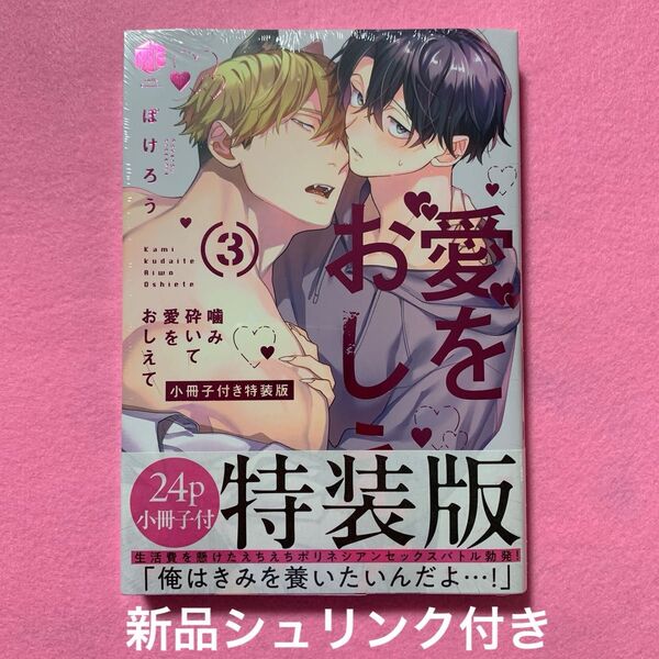 噛み砕いて愛をおしえて 3特装版限定小冊子付き ぽけろう