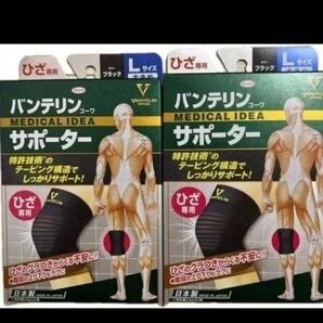 興和株式会社バンテリンコーワサポーターひざ用 大きめサイズ2個セット