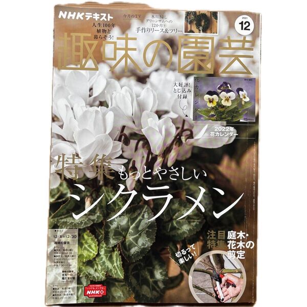 NHK趣味の園芸テキスト 2021年12月号 シクラメン