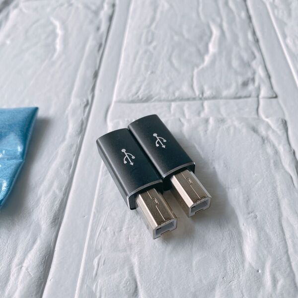 タイプC 変換アダプタ USB C から タイプB へ タイプC メス - タイプB オス EC88BK2P 2個