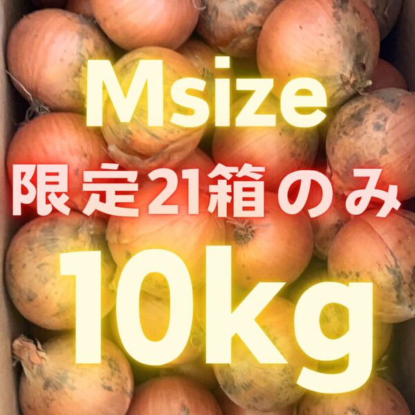 鬼安! 玉ねぎ 10kg 10キロ 42