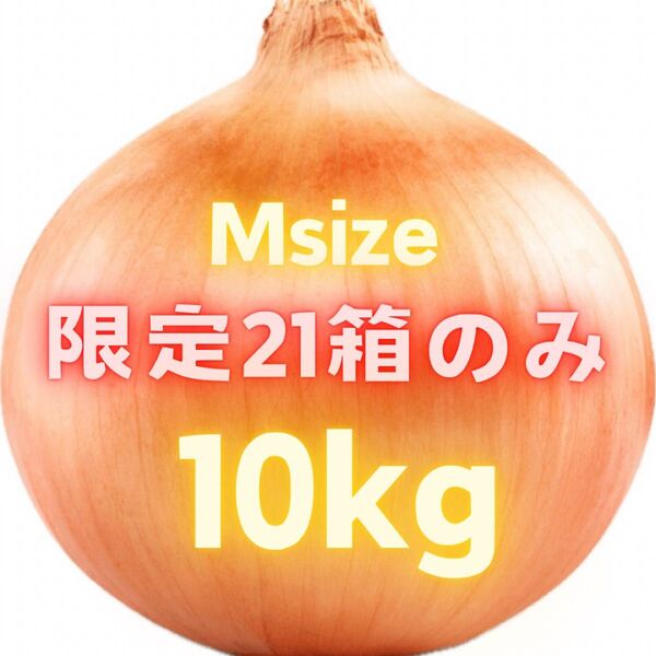 鬼安! 玉ねぎ 10kg 10キロ 43