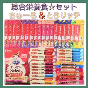 総合栄養食 セット キャットフード 猫おやつ 三ツ星グルメ 銀のスプーン とろリッチ ちゅーる チュール チャオちゅーる