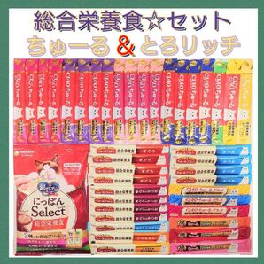 総合栄養食 セット キャットフード 猫おやつ 三ツ星グルメ 銀のスプーン とろリッチ ちゅーる チュール チャオちゅーる