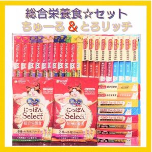 総合栄養食 セット キャットフード 猫おやつ 三ツ星グルメ 銀のスプーン とろリッチ ちゅーる チュール チャオちゅーる
