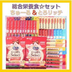 総合栄養食 セット キャットフード 猫おやつ 三ツ星グルメ 銀のスプーン とろリッチ ちゅーる チュール チャオちゅーる