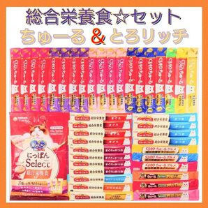 総合栄養食 セット キャットフード 猫おやつ 三ツ星グルメ 銀のスプーン とろリッチ ちゅーる チュール チャオちゅーる