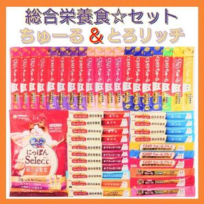 総合栄養食 セット キャットフード 猫おやつ 三ツ星グルメ 銀のスプーン とろリッチ ちゅーる チュール チャオちゅーる