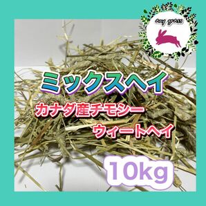 ミックスヘイ カナダ産チモシー+ウィートヘイ 10kg 圧縮 無選別