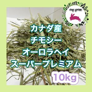 カナダ産チモシーオーロラヘイスーパープレミアム 10kg 圧縮 無選別