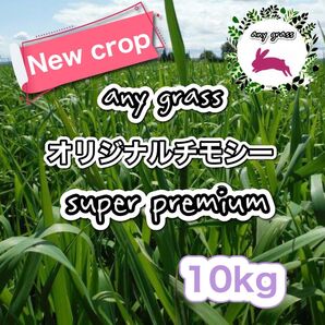 any grassオリジナルチモシー super premium 10kg 圧縮 無選別