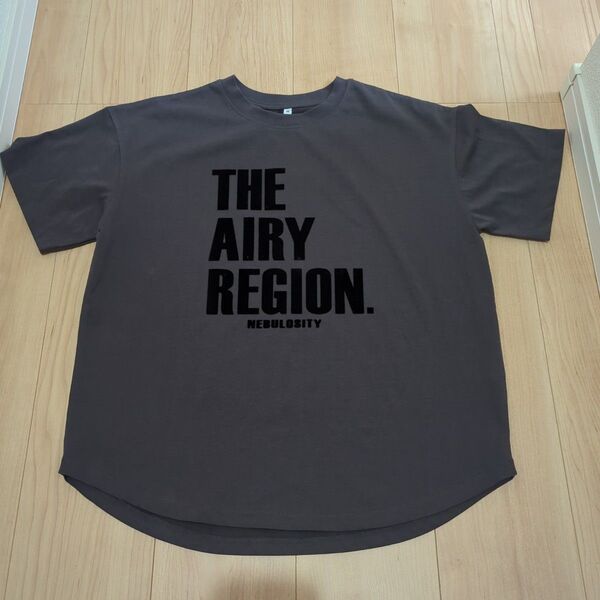 【新品】レディースロゴTシャツМ
