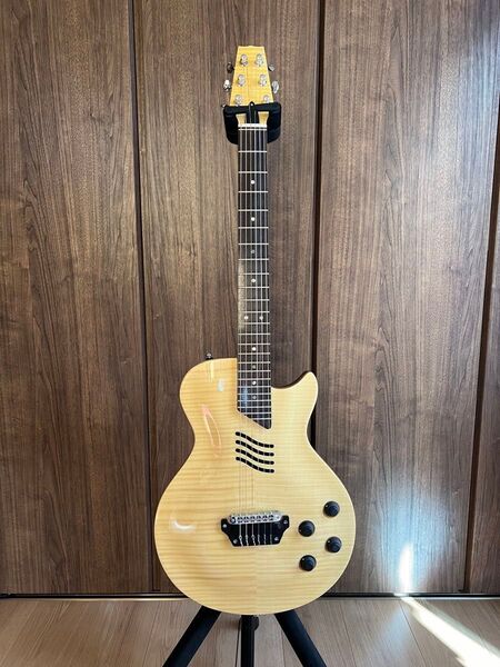 LANDSCAPE SE-01/N NAT エレアコ エレガットギター