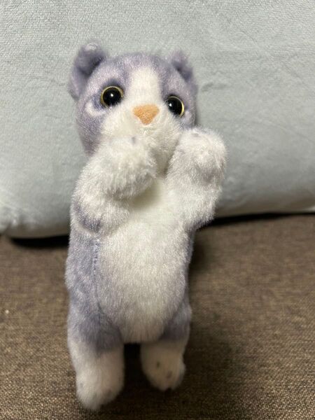 たっちぃZooにゃんこmini マンチカン