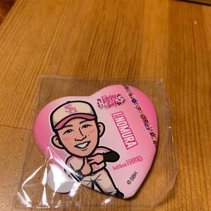 ソフトバンクホークス野村選手