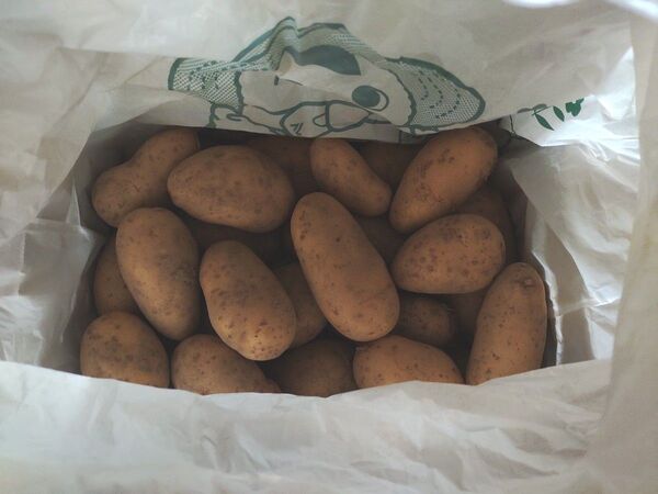 じゃがいも メークイン 無農薬 訳あり 箱込み1.8kg サイズバラバラ