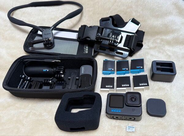 GoPro HERO 10 Black 純正バッテリー等 色々セット