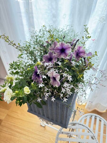 自分へのご褒美やプレゼントにも♪寄せ植え 花■季節の花のブリコラージュフラワー