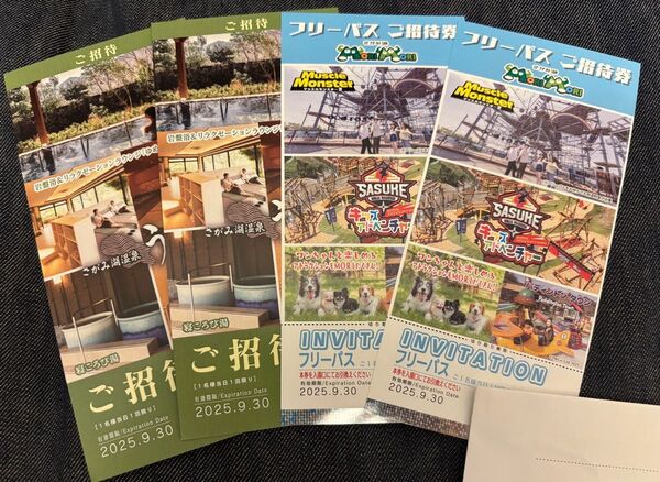 さがみ湖 MORIMORI フリーパス&温泉うるり タオル付入館券 ペア 各2枚